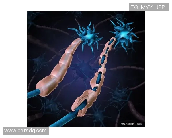 华沙与杜古激战正酣赛果揭晓精彩瞬间回顾与分析