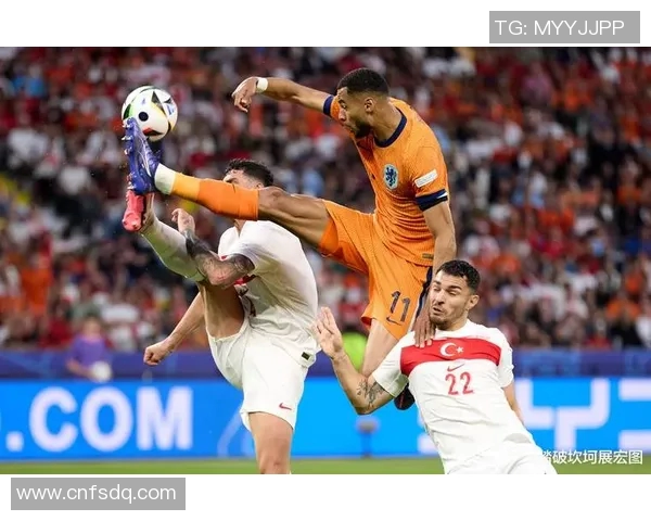 法国与荷兰足球赛比分结果分析及精彩瞬间回顾