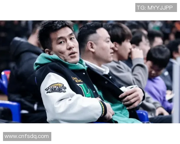 2015至2016赛季辽宁队对阵新疆队精彩回顾与赛季分析