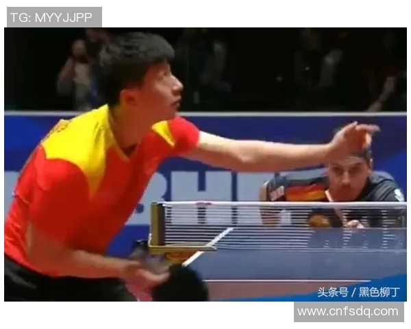 南京乒乓球队运营分析与反思探讨其成功与不足之处