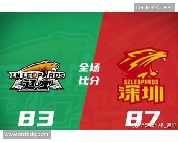 深圳马可波罗对阵辽宁队的精彩较量即将上演，谁能笑到最后引人期待